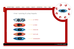 full flash based animated website for leading kayak manufacturer
