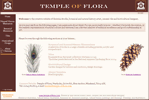 bespoke website design & hostingfor specialist botanical illustrations artist